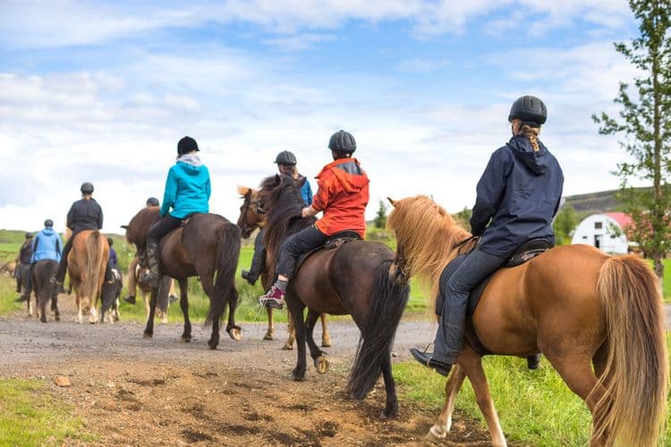 Iceland On Horseback