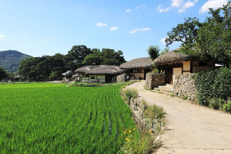 Folk Village & Namdaemun Market