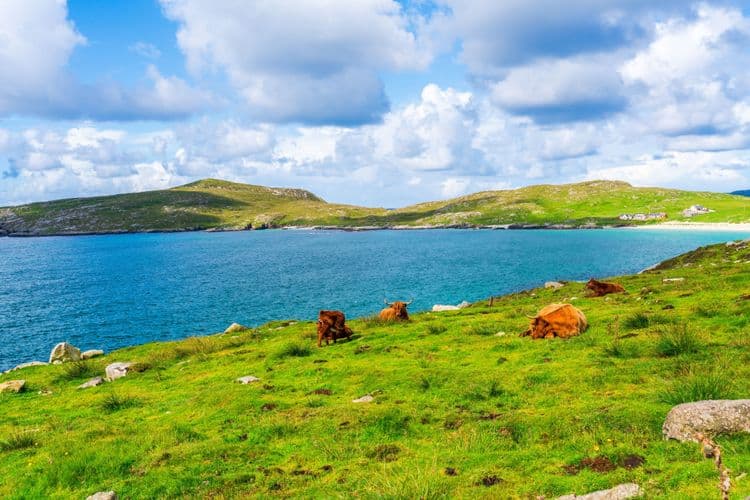 Breathtaking Harris