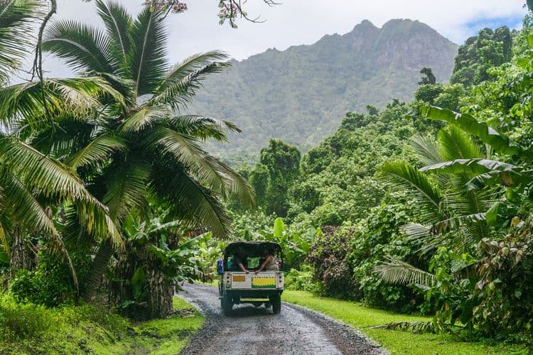 Aito Off-Road Safari