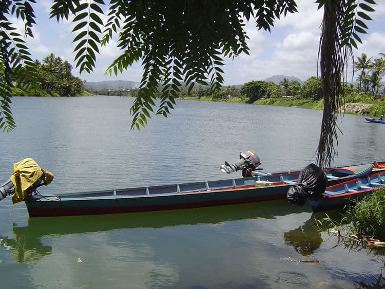 Navua River By Longboat