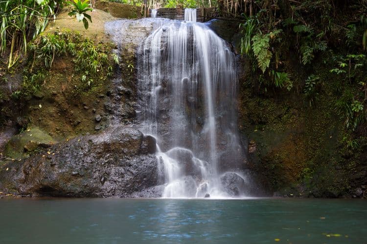 Suva & Rainforest Walk