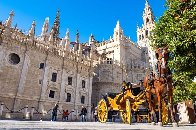 Easy Seville