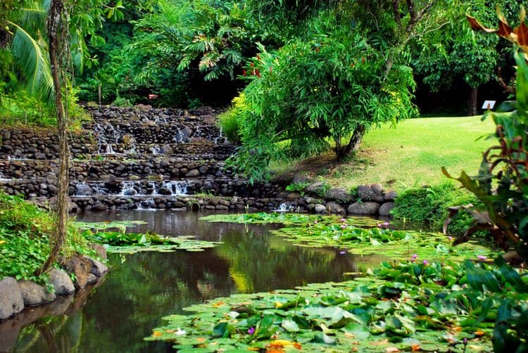 Discover Tahiti's West Coast