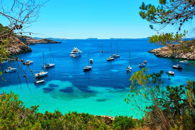 Paradise Cove Sail & Snorkel