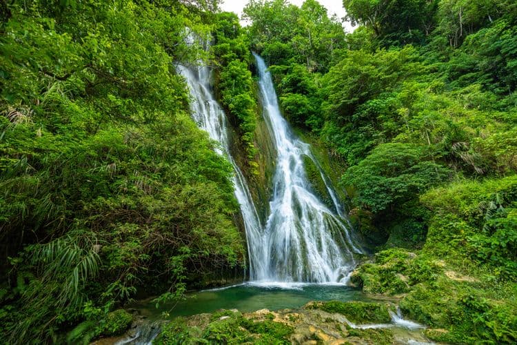Waterfalls & Rainforest Eco Walk