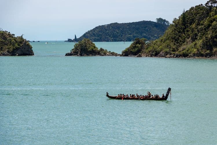 Kayaking On Waitangi Estuary