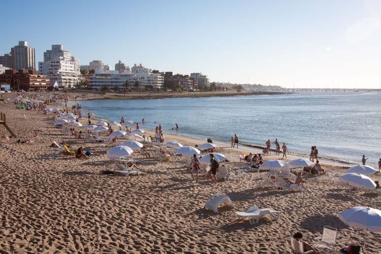 Art & Culture of Punta Del Este