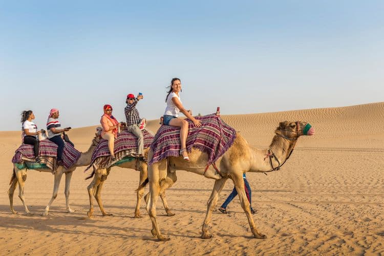 Camel & Outback Adventure