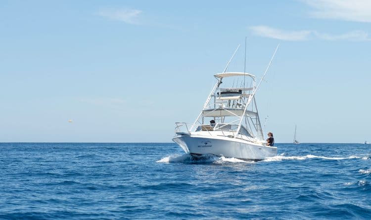 Sportfishing