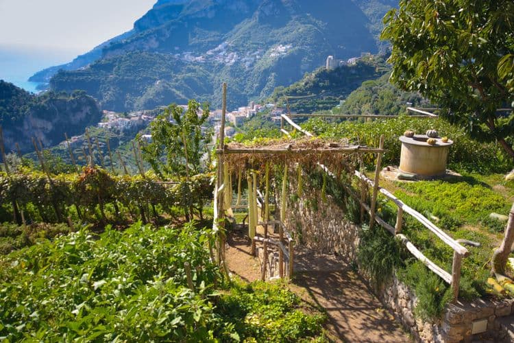 Food & Wine Trails:amalfi's Tramonti Winery & Ancient Roman Villa