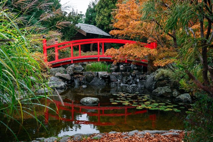 Gardens and Wildlife