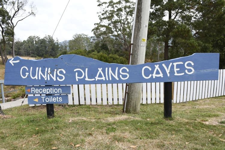 Gunns Plains Caves and Wildlife