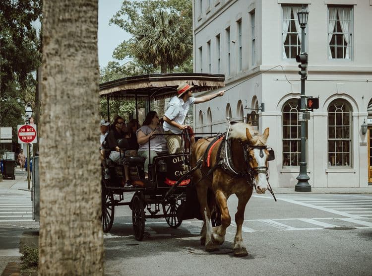 Historic Charleston Carriage Tour