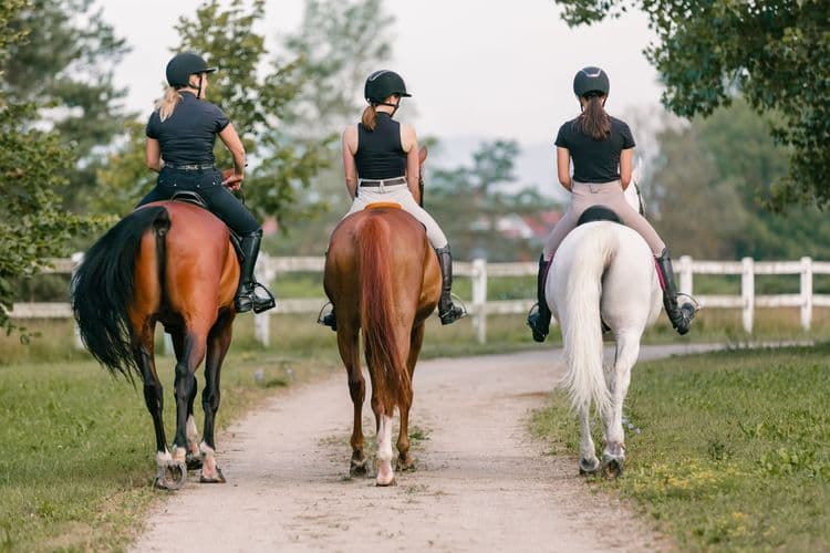 Horseback Riding Adventure
