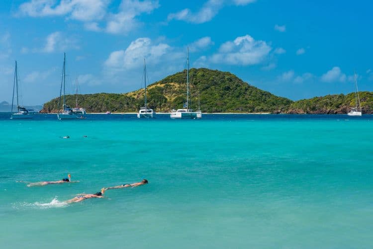 Snorkeling Les Saintes