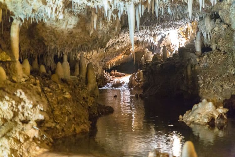 Harrisons Cave Signature Park Pass