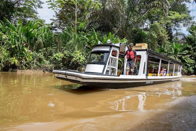 Caribbean Train, Eco Cruise & Countryside