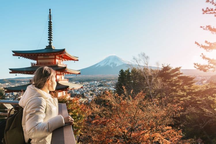Mt Fuji Views, Tea Ceremony & Art Museum
