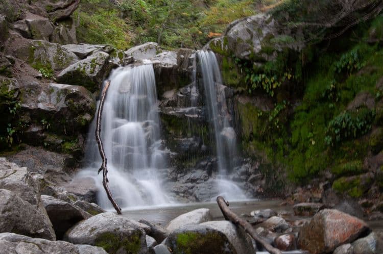A Glimpse of Patagonian Nature