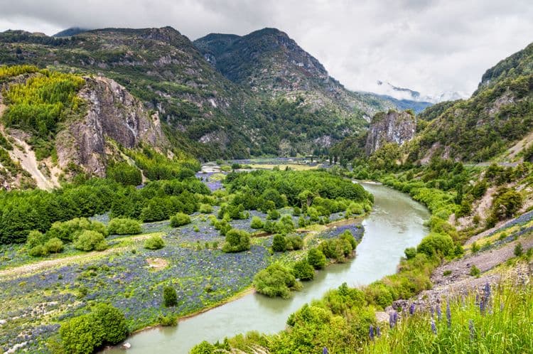 Fly Fishing Adventure in Patagonia