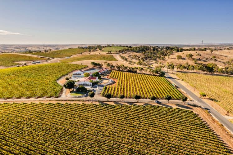 A Day in the Barossa Valley