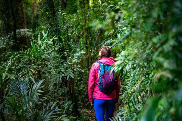 Eco-Hike At Hacienda Tijax
