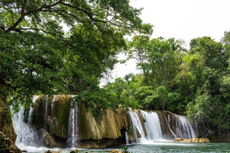 Las Escobas Springs Adventure