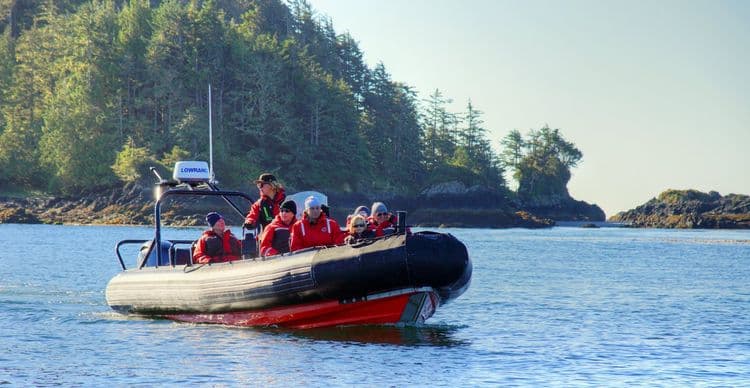 Explore the Marine Environment By Zodiac