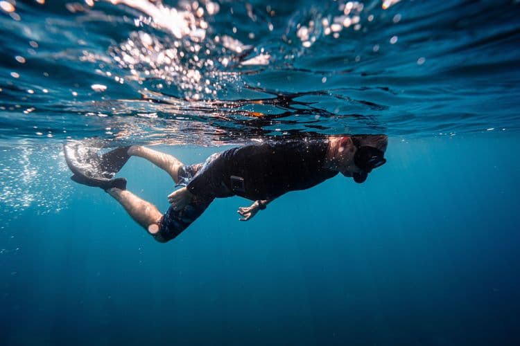 Kayak & Snorkel Adventure