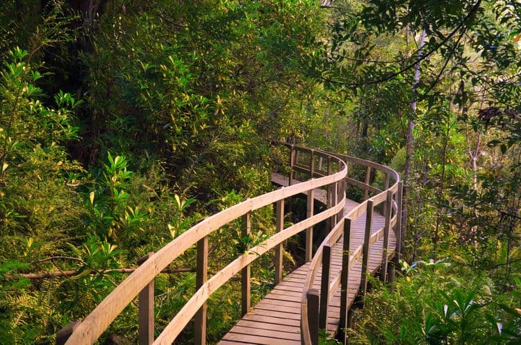 Huon Valley & Tahune Airwalk