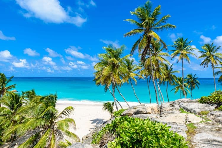 Easy Barbados Coast To Coast Scenic Drive