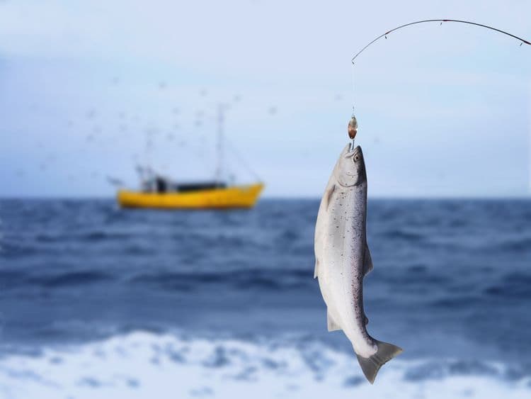 Shoreside Salmon Fishing