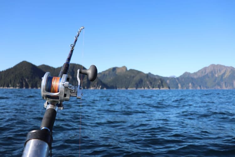 Halibut Fishing