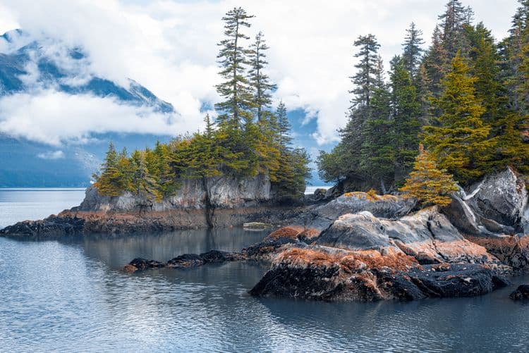 Kenai Fjords National Park Cruise