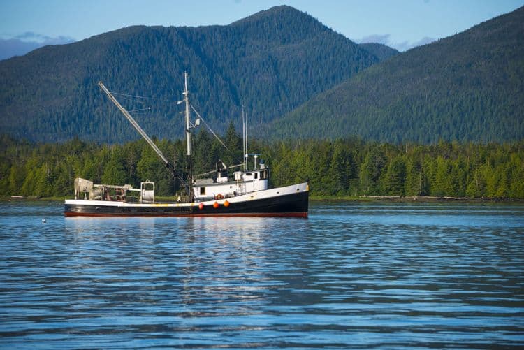 Ketchikan Salmon Fishing