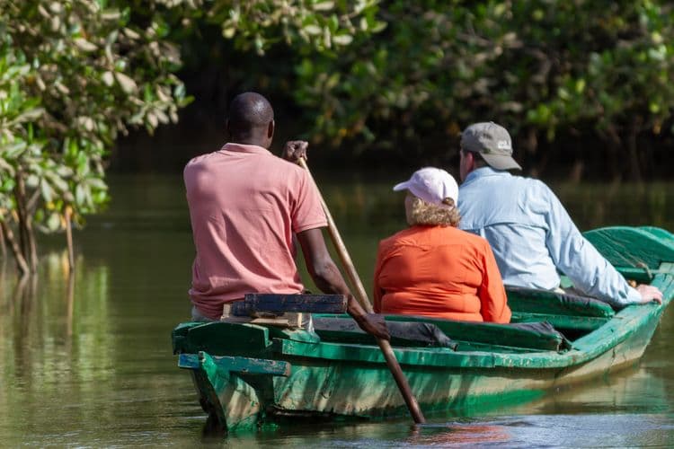 Canoe Tour Of Mangrove Tunnels & Old City Stroll