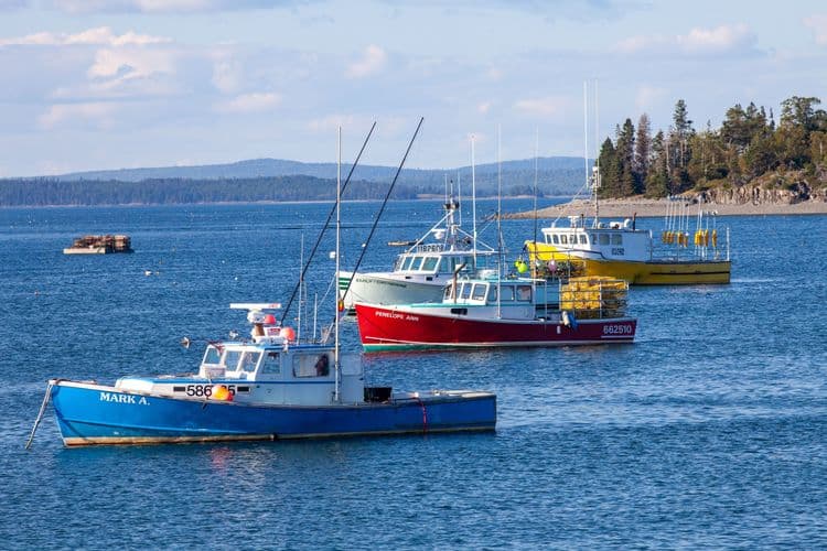 Lulu Lobster Boat Ride