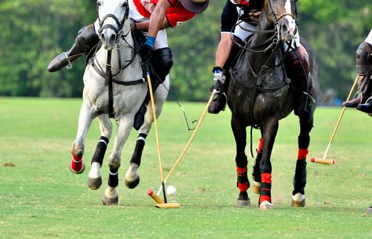Polo Lessons