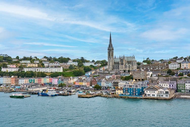 Local Connections: Cork Harbour Sea Safari