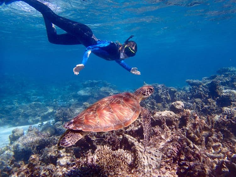 Snorkel Ningaloo Reef