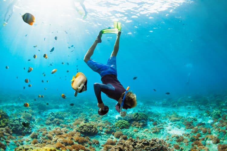 Reef Snorkelling Tour