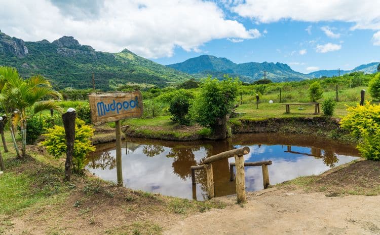 Fiji Natural Thermal Mud Pool