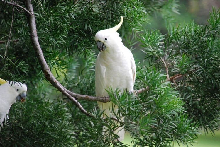Kula Eco Park Tour