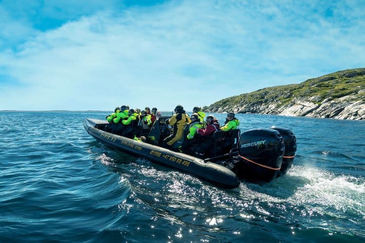 Fjord RIB Adventure