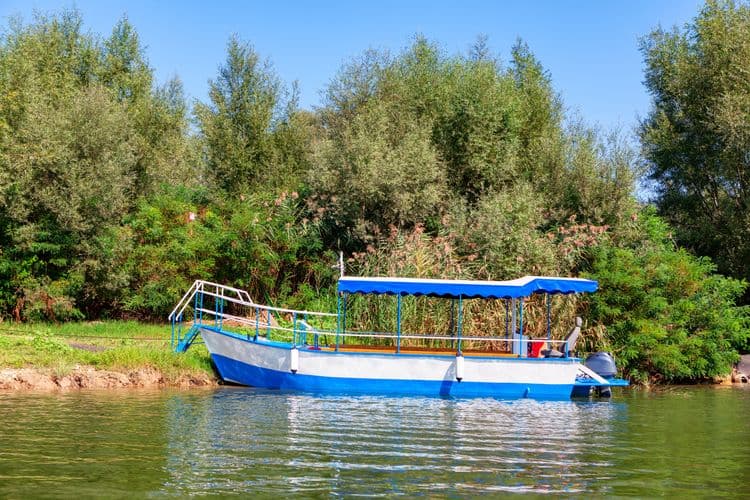 Eco-Jungle River Cruise