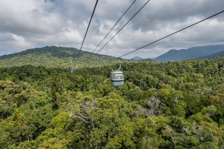Kuranda & Skyrail Rainforest Cableway