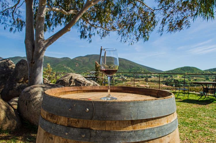 Bodegas De Santo Tomas & Riviera Del Pacifico