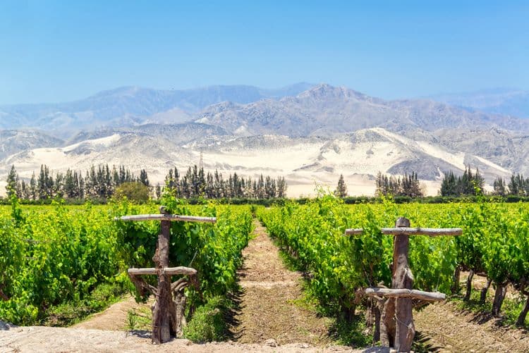 The Pisco Route
