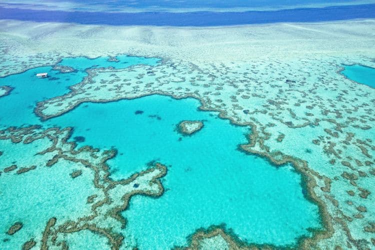 Best Of Port Douglas: The Great Barrier Reef